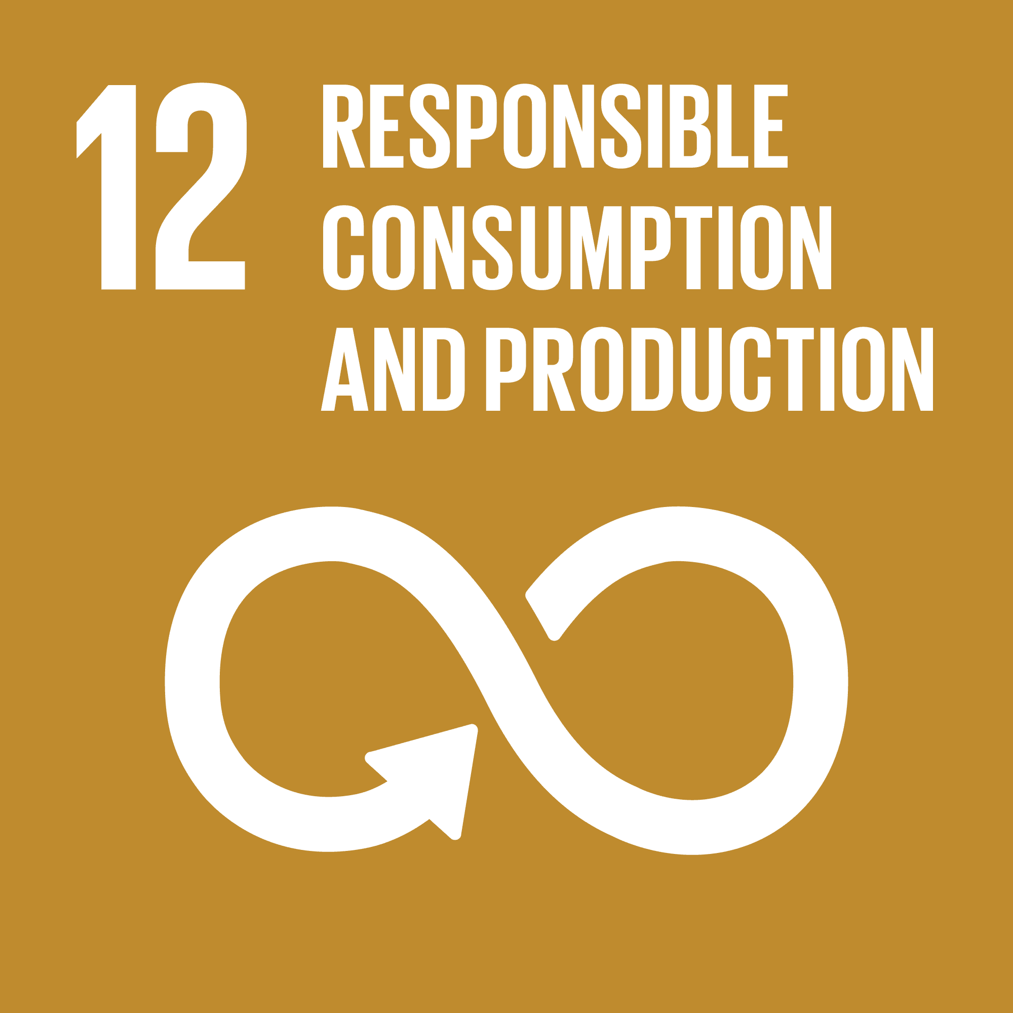 SDG 12: 責任消費及生產